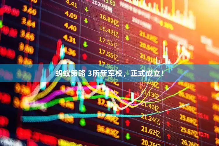 蚂蚁策略 3所新军校，正式成立！